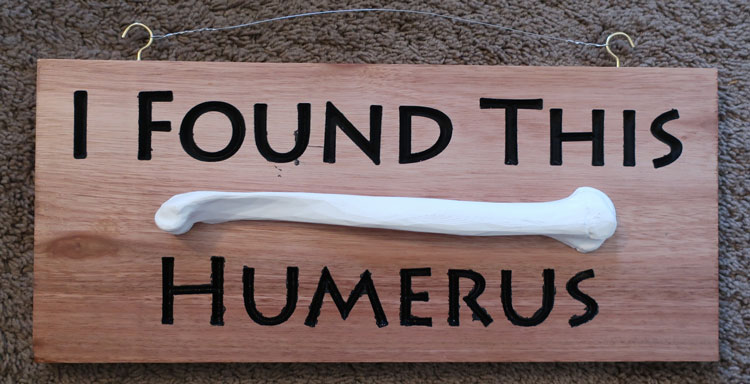 I-found-this-humerus-2022-08-21-5460